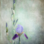 3D彩票历史开奖数据全记录与详细分析 3gowi1bd