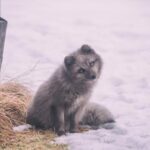 3D彩票最新开奖结果查询,今日开奖号码已公布 3q6nd9w