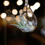 3D彩票2025192期开奖号码结果查询与最新公布 4v784c