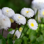 3D所有历史开奖号码完整记录与详细数据分析 55vhawmr